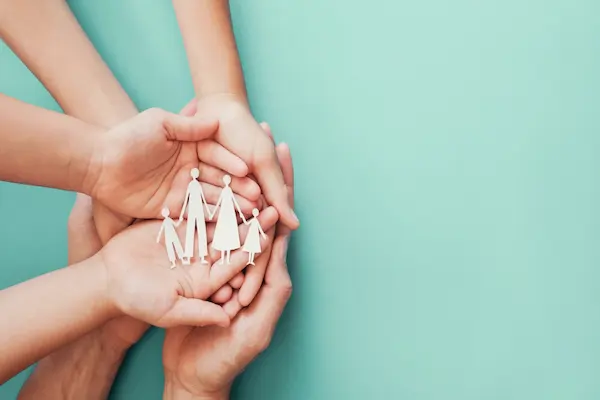 طرح شوکا البرز چیست